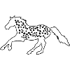 Knabstrupper, Appaloosa, Noriker, Tigerschecke