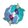 Poisson fou Yin-Yang