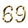 69 år 69 år gammel 69-års fødselsdagsgave