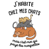 humor cats