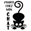 humorvolle Katze