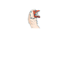 Honk Goose