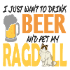 Ragdoll cat