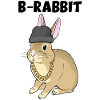 B rabbit