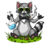Waschbär Stoner