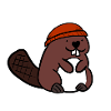 Beaver with a hat