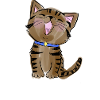 Kitten