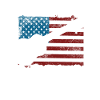 Country Musique drapeau américain guitare