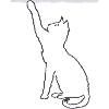 Cher Chat