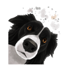 Neugieriger Border Collie Hund