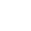 surveyor