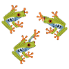 Frog roach tree frog frogs