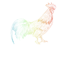 Chicken rooster chickens