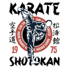 Karate Shotokan