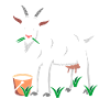 Goat goat milk