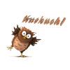 coucou