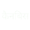 cannabis in Hindi
