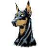 Doberman