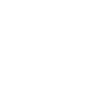 Mechanic Evolution ... mechanic