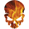 DEAD HEAD IN FLAMES