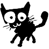 Chat noir