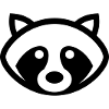 Raccoon Icon