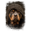 Rottweiler Grunge