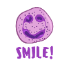 White Blood Cell Smiling Neutrophil