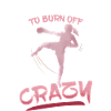 Kickboxen Kickboxer