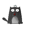Stupid cat