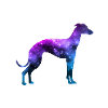 Space Dog