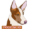 Podenco