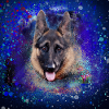 shepherd dog,poster,illustration,blue, dog