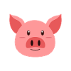pig