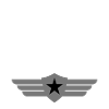 Flying team (badge, wings, star)