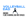 volleyball dad