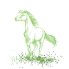 Chevaux poney vert paillettes amour