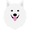 Cute hoodie - Samoyed