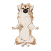 Méditant TibetLe chien d’espagne
