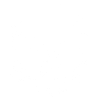 Detailed skull illustration
