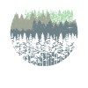 Nature forest trees