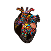 Anatomical heart