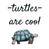 turtle