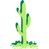 Cactus cactus cacti