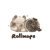 rollmops