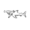 Hammerhead shark