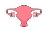 Uterus uterus feminism feminist