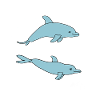 Two dephines