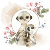 Les suricates