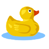 duck